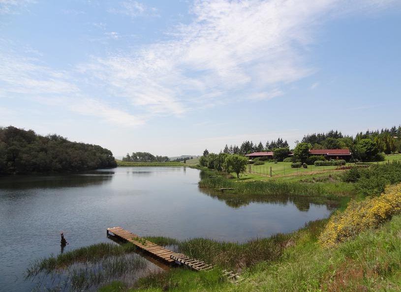 Fancy Free Fly Fishing Retreat | Self-catering Machadodorp