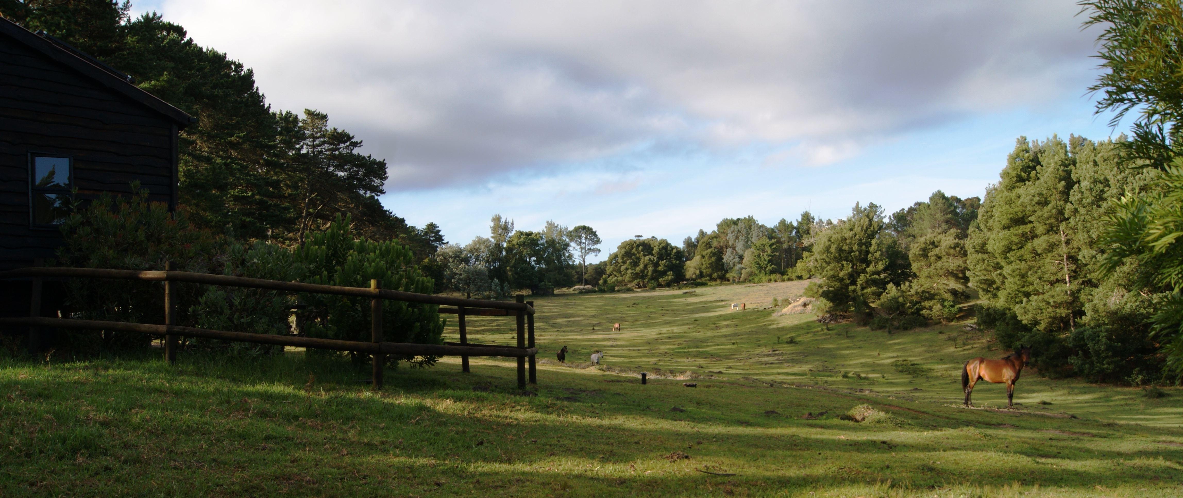 Angels Rest Farm | Accommodation Harkerville