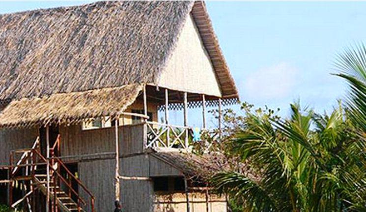 Coconut Camp | Praia do Tofo Accommodation