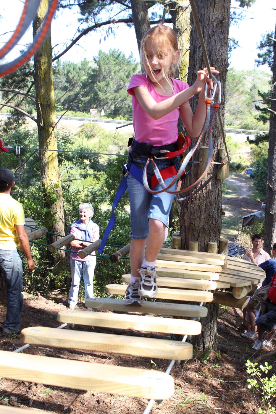 Acrobranch WildWoods Tree Adventure