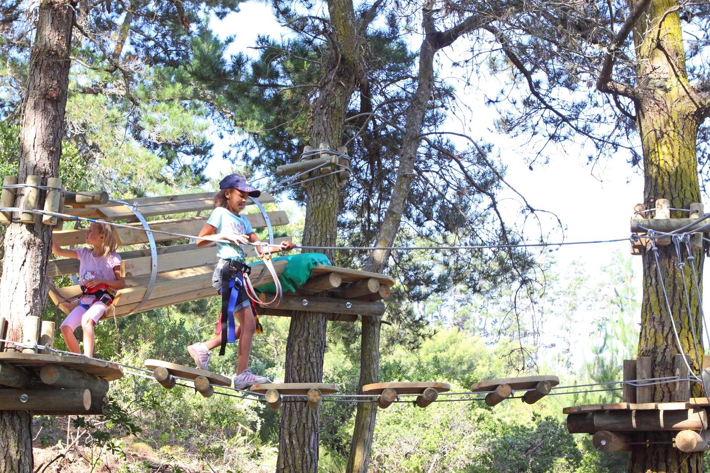 Acrobranch WildWoods Tree Adventure