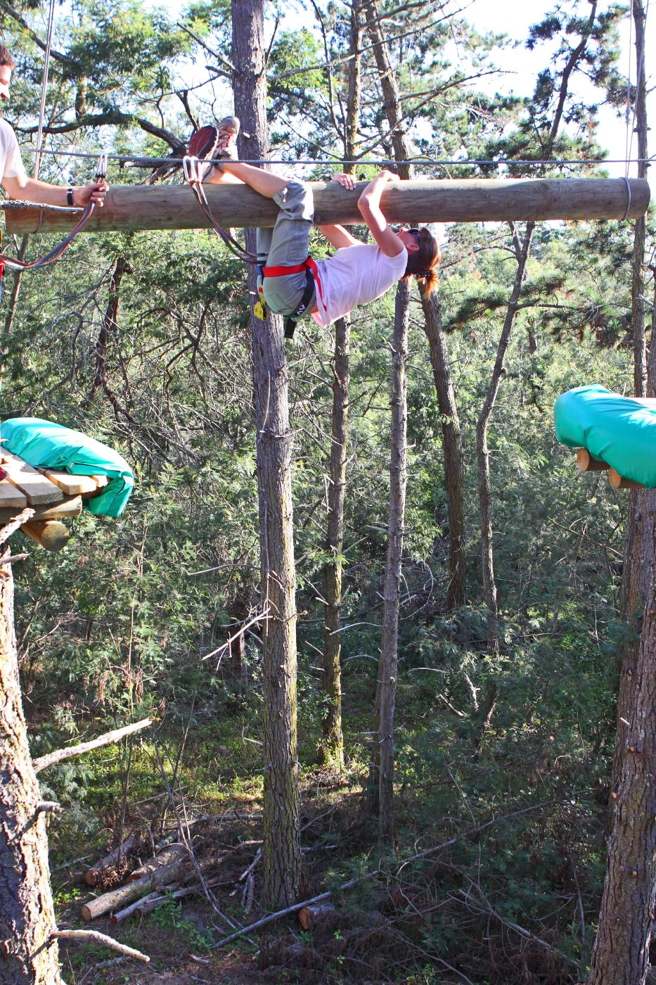 Acrobranch WildWoods Tree Adventure