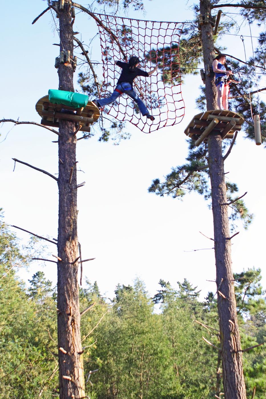 Acrobranch WildWoods Tree Adventure