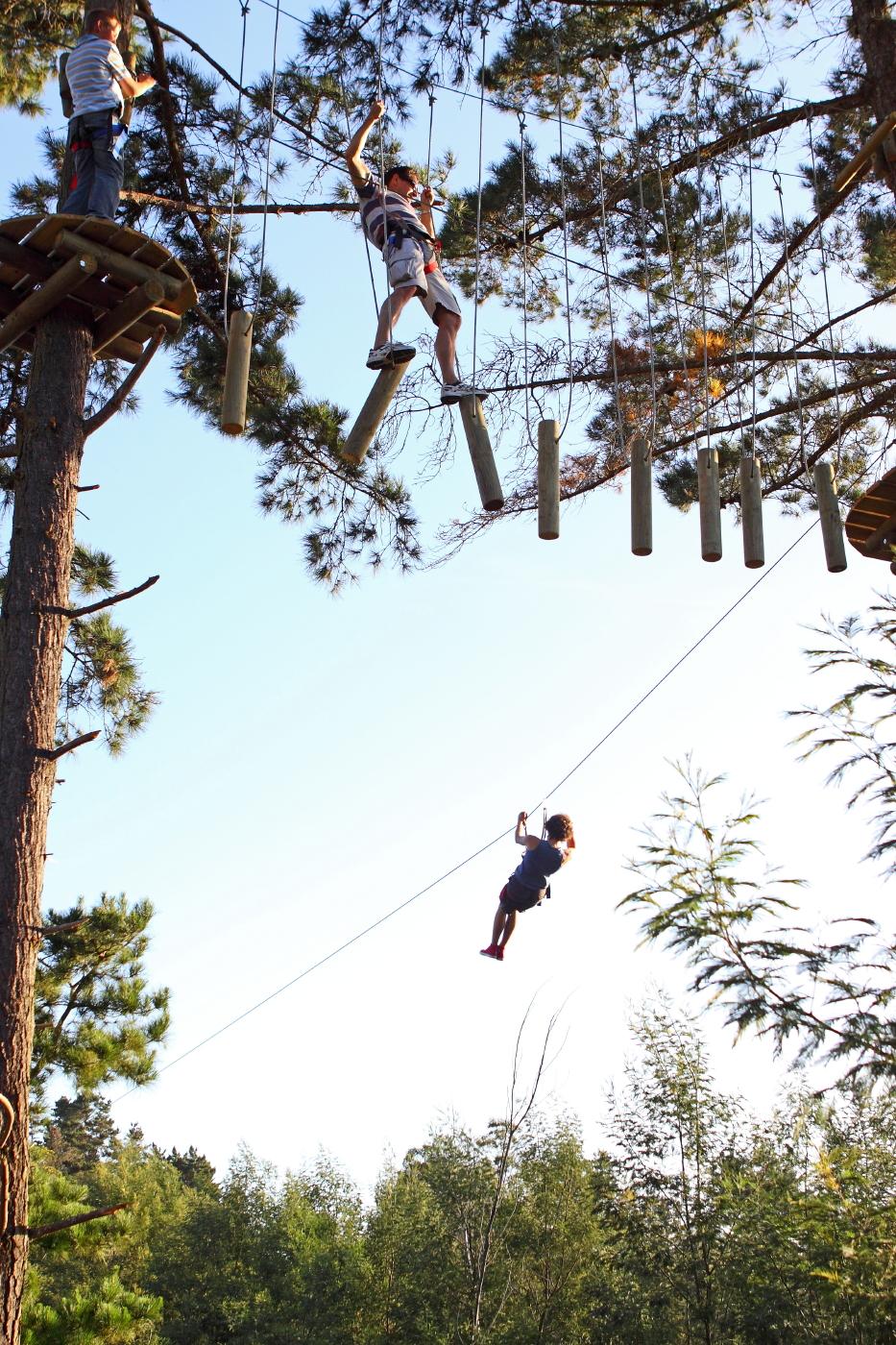 Acrobranch WildWoods Tree Adventure