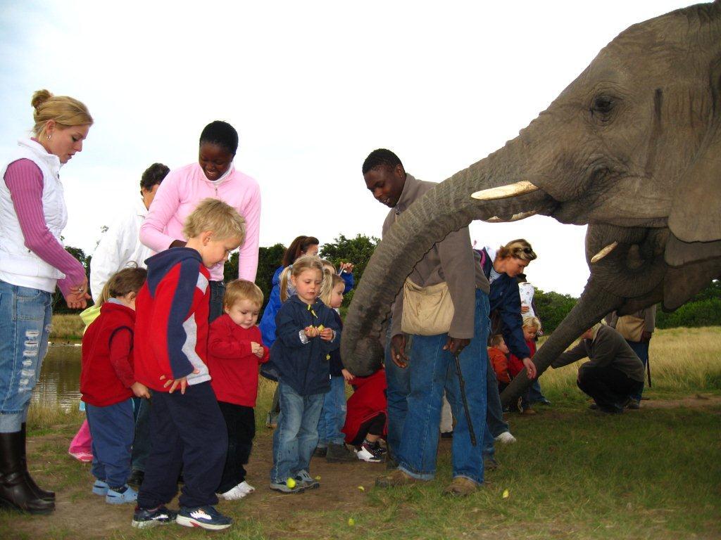 The Elephant Sanctuary Plettenberg Bay