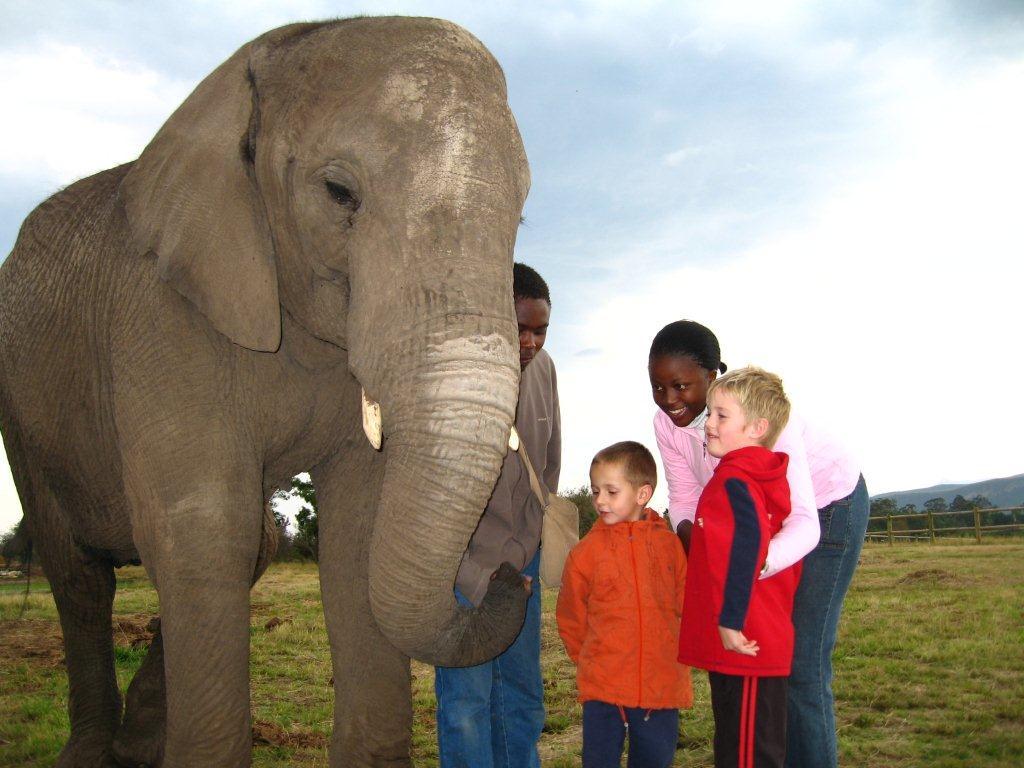 The Elephant Sanctuary Plettenberg Bay