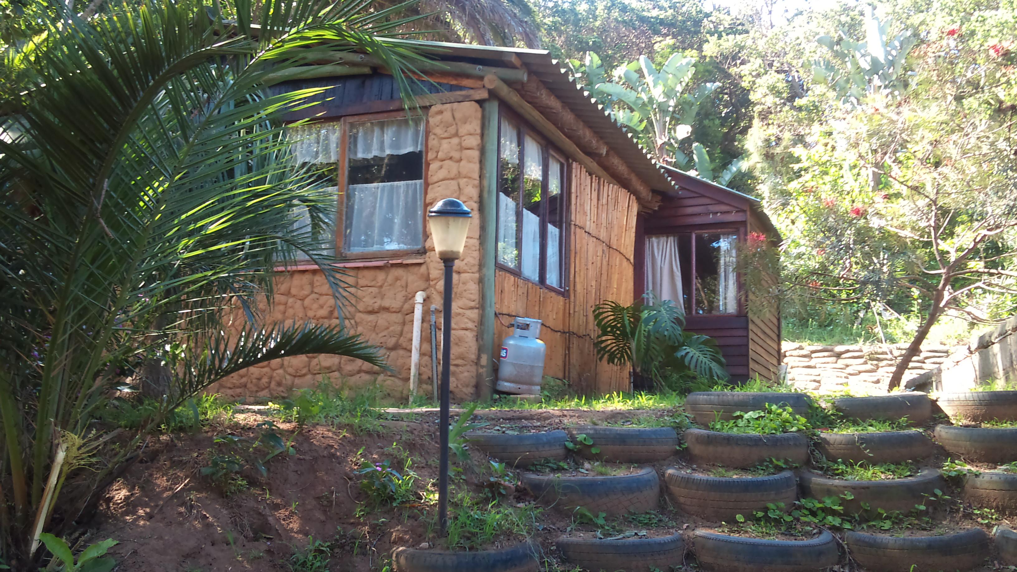 Bush Baby | Hibberdene Accommodation