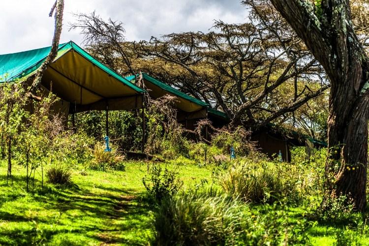 Ang'ata Ngorongoro | Ngorongoro Crater Conservancy Accommodation