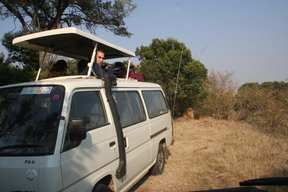 Tourist During game drive in the park