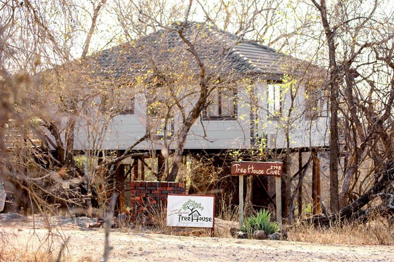 The first view of Zulwini Tree House upon arriving.... © Marelize Taljaard Portraits