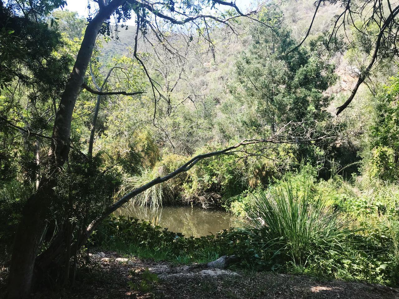 Krugerskop Kloof Bushcamp | Patensie Accommodation