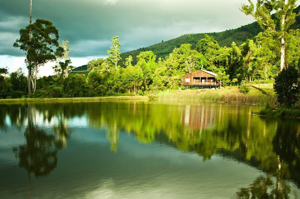 Magoebaskloof Getaway | Haenertsburg Accommodation