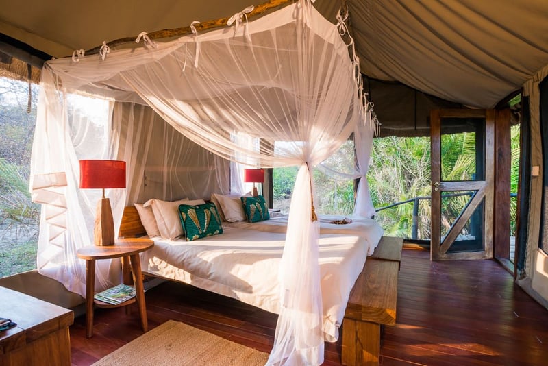 Kaingu Safari Lodge | Budget Accommodation Deals and Offers Book Now!