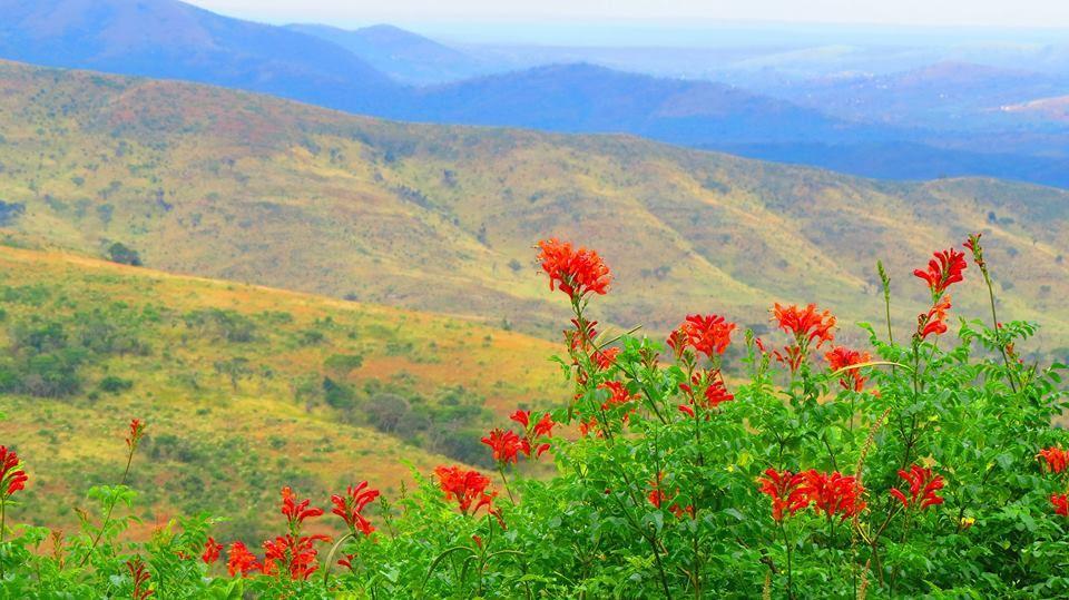 Hluhluwe Backpackers | Accommodation Hluhluwe