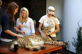 Eikendal Cheetah Outreach Programme