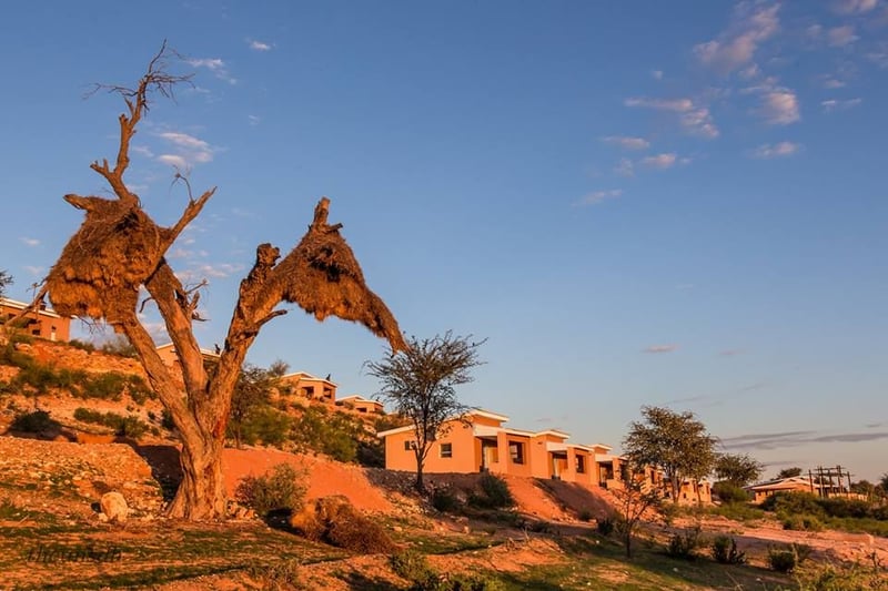 Kgalagadi Lodge | Secure Your Hotel, Self-Catering, or Bed and ...