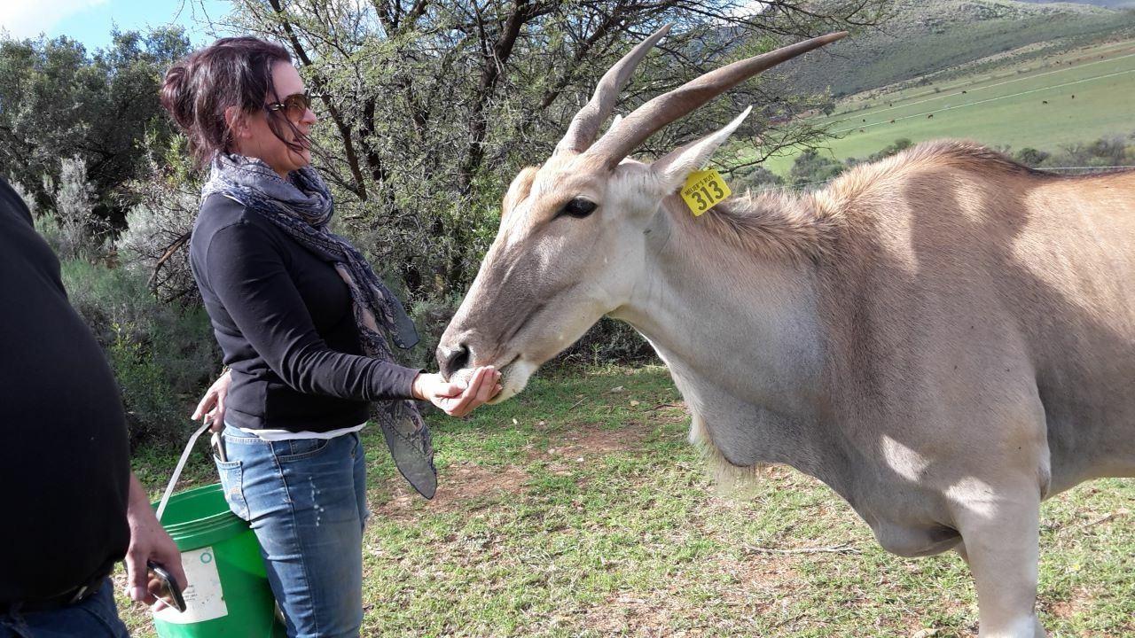Meijer's Rust Guest Farm | De Rust Accommodation