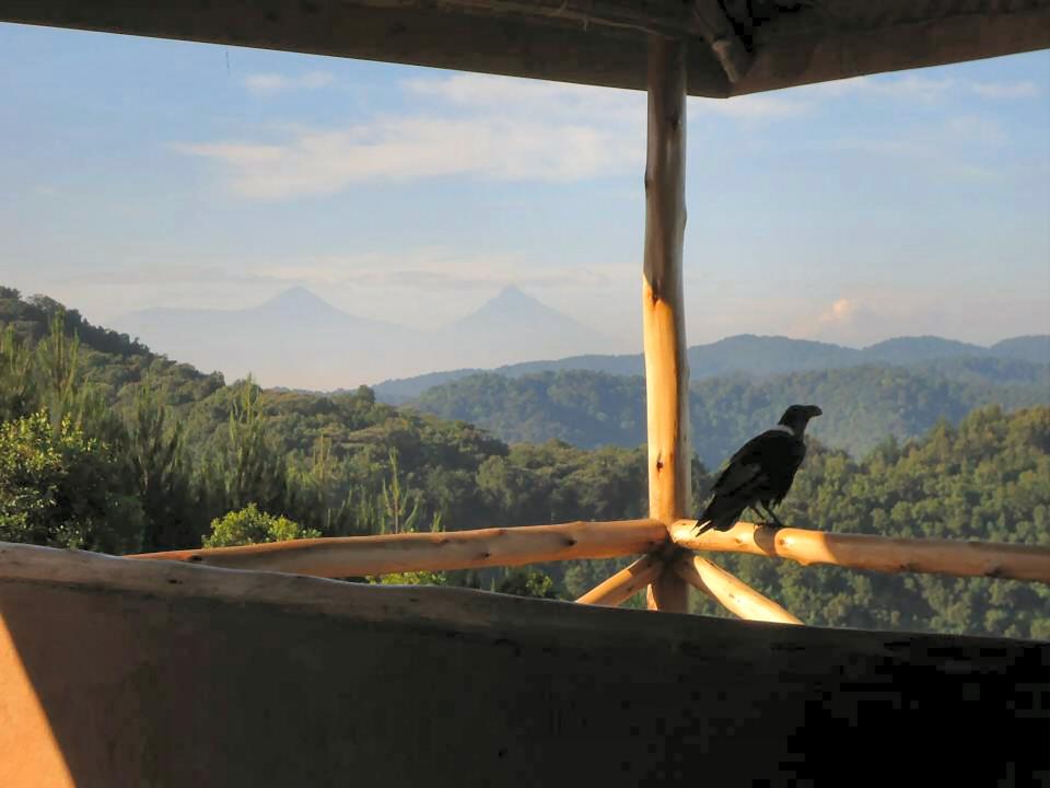 Bakiga Lodge | Accommodation Bwindi Impenetrable National Park
