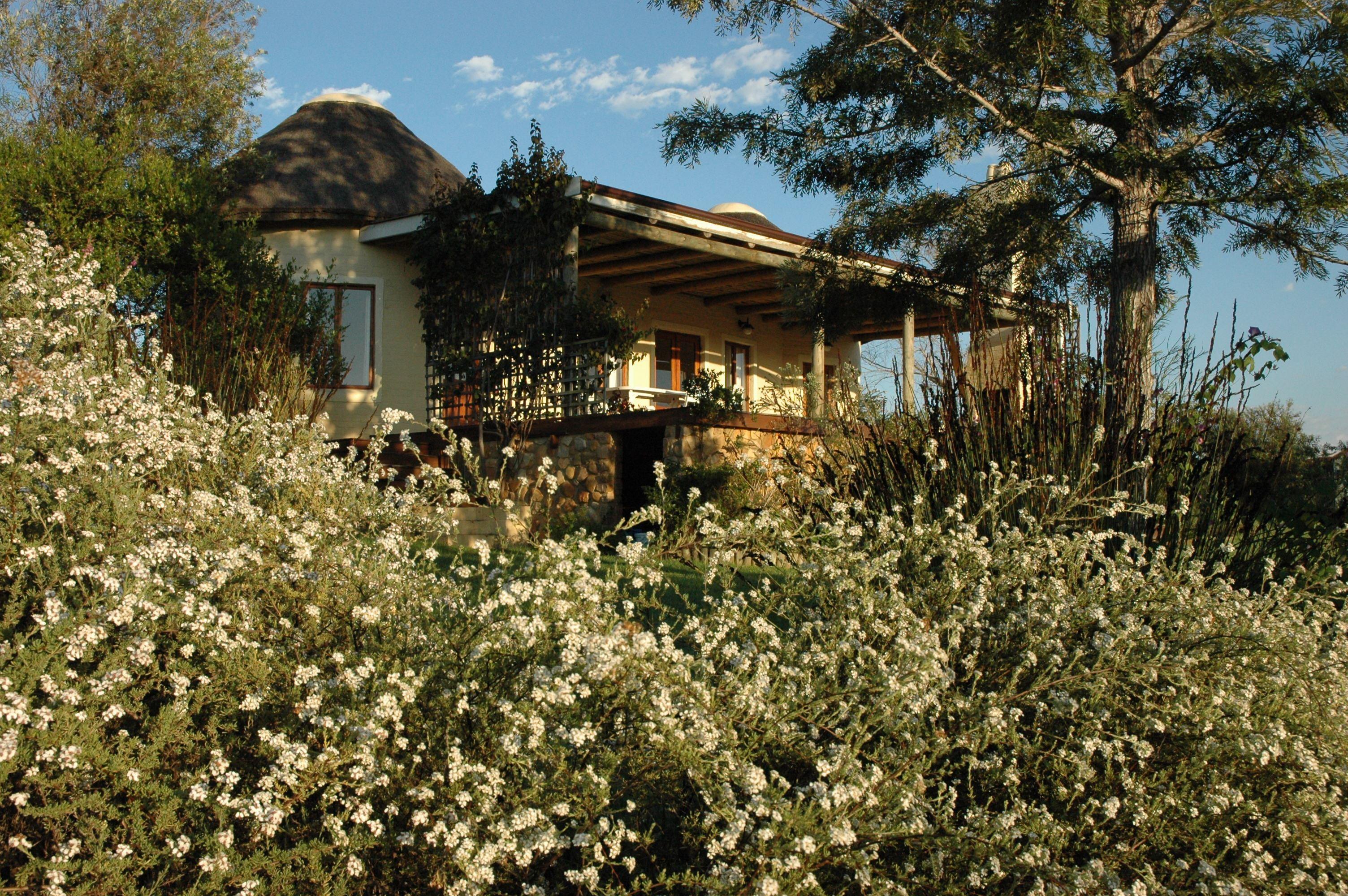 Forest Hills Cottages | Accommodation Rheenendal