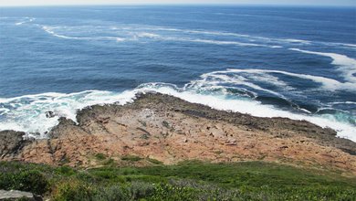Things to do in Robberg Nature Reserve