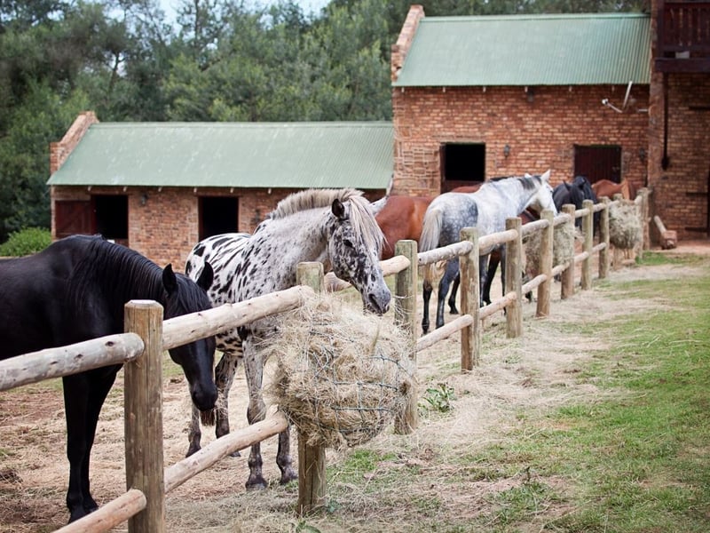 Dunkeld Country Equestrian Estate