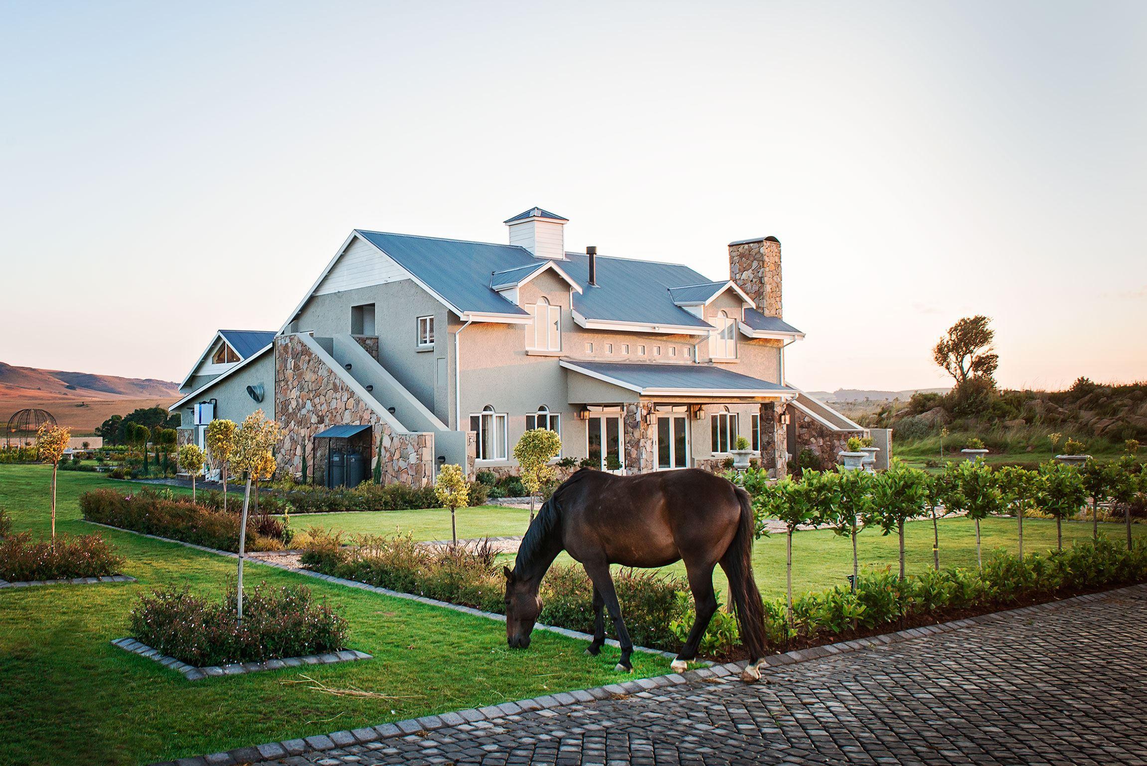 Dunkeld Country & Equestrian Estate | Accommodation Dullstroom