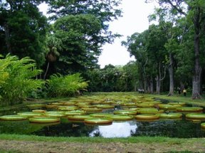 Free State Botanical Gardens
