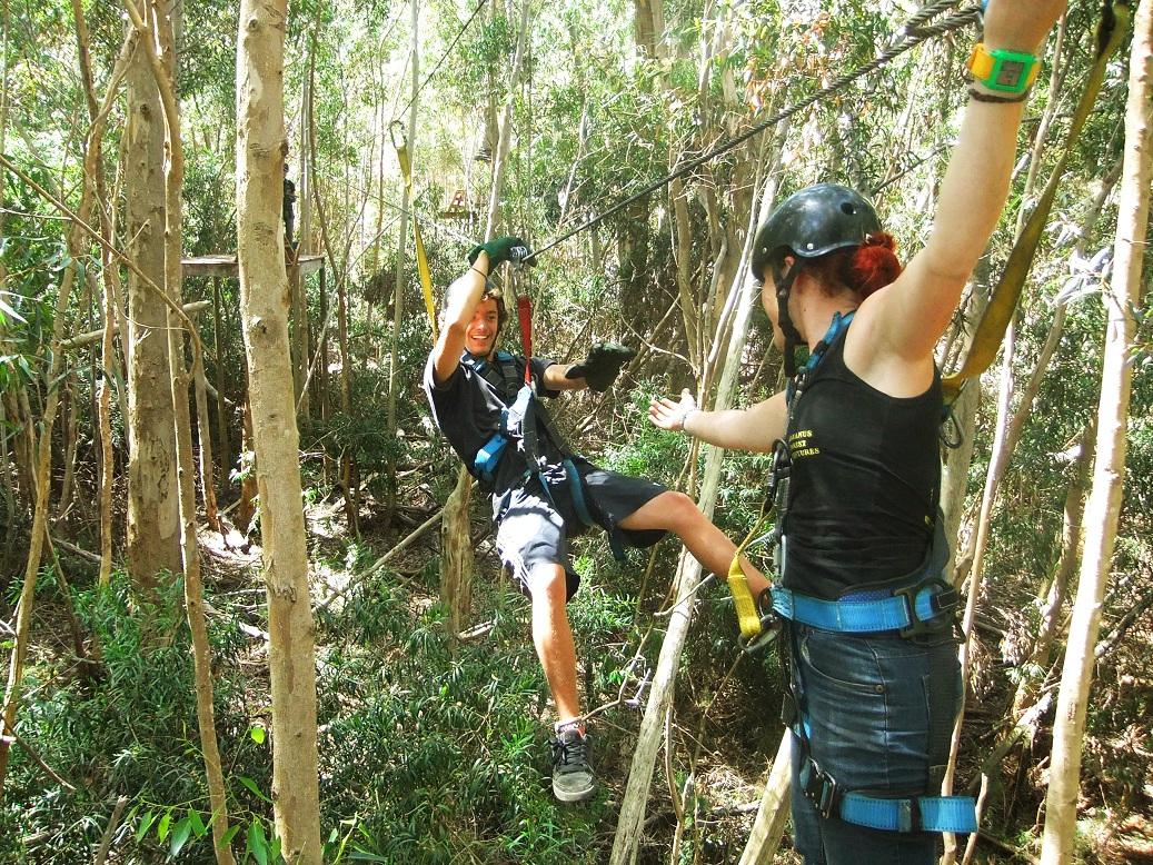 Zip Lines