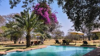 Mziki Safari Lodge | Accommodation Beestekraal
