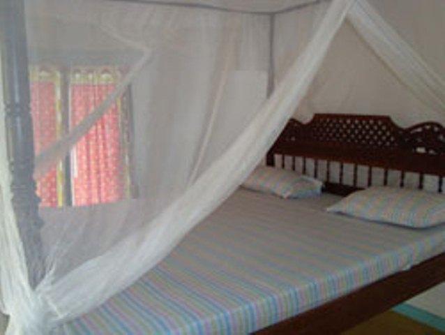 Dolly House