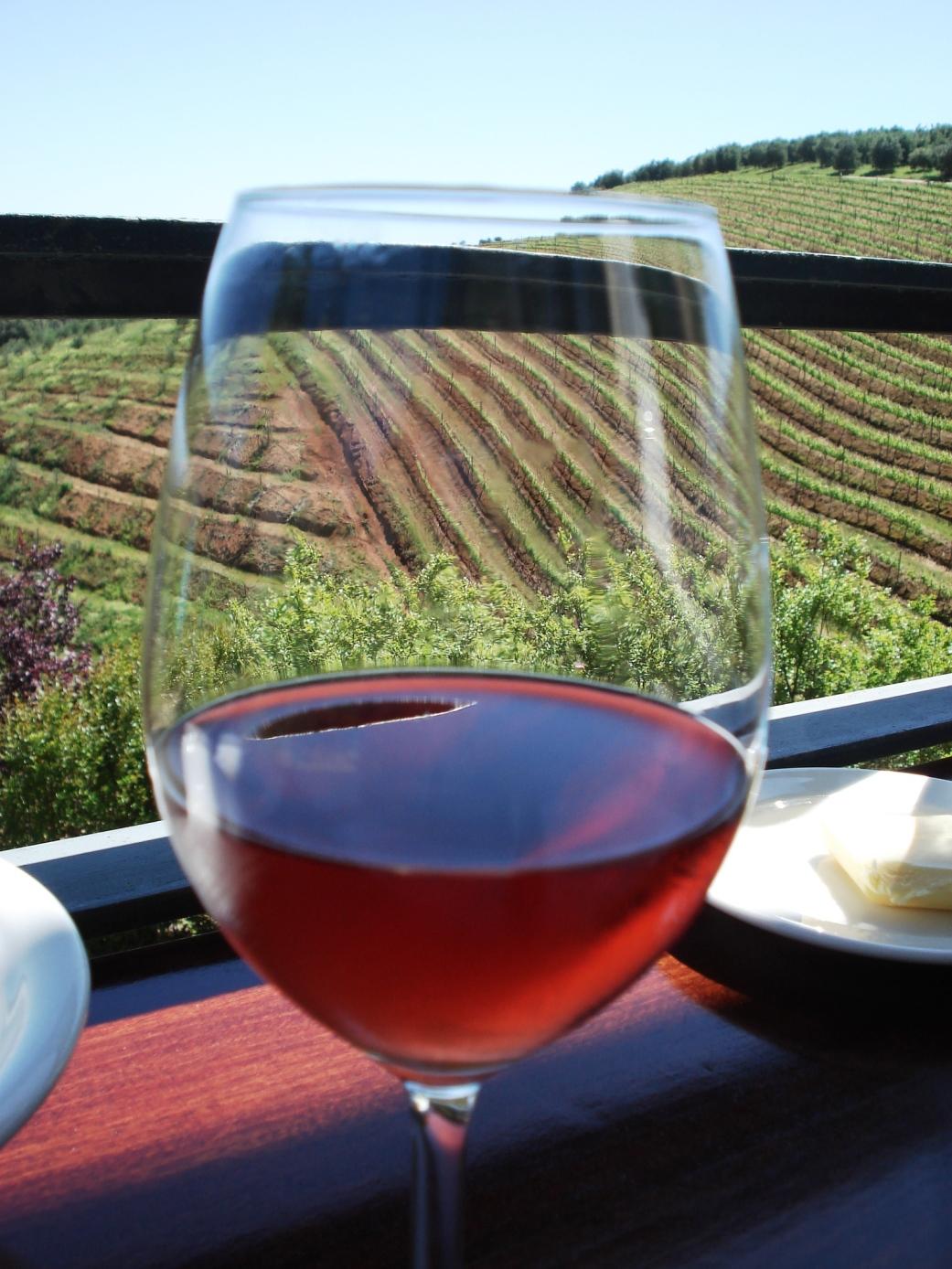 Wine Tours of Hermanus