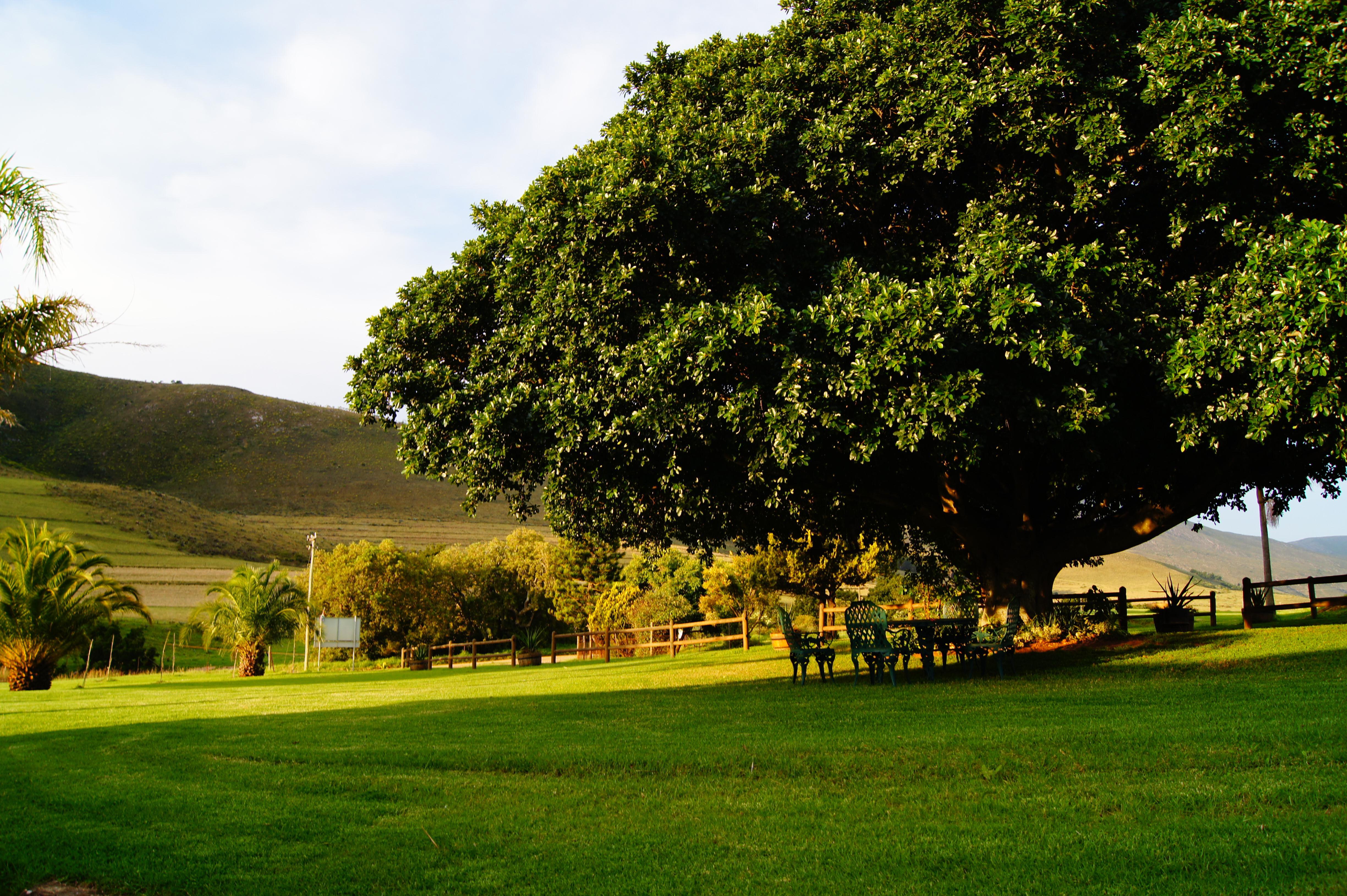 Mount Ingwe Lodge | Lodges Patensie