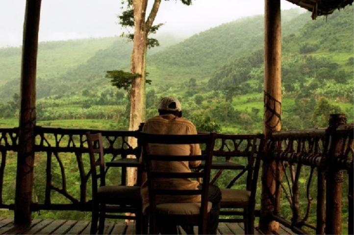 Mahogany Springs Lodge | Bwindi Impenetrable National Park Accommodation