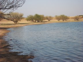 Sterkfontein Dam Nature Reserve