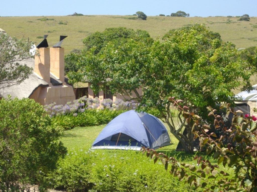 Green Fountain Caravan Resort | Port Alfred Accommodation