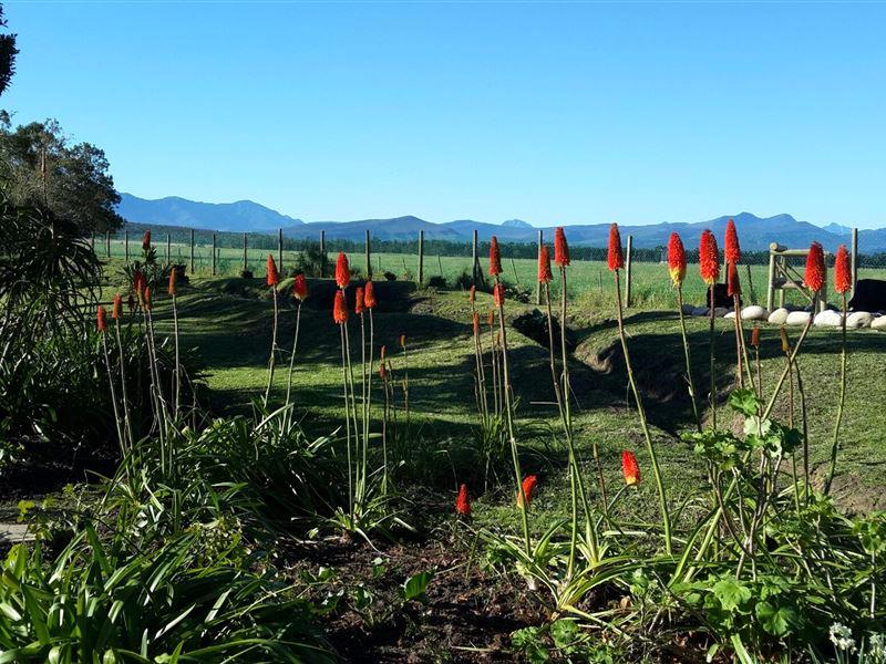 Wittedrift Guest House