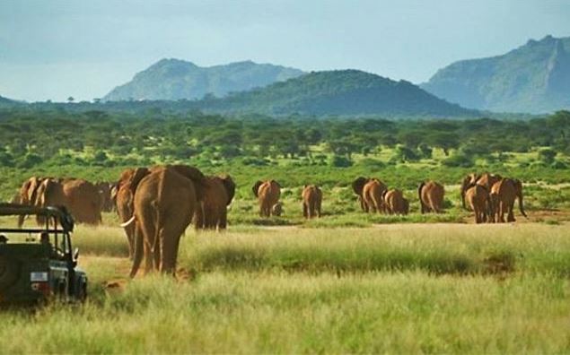 kenya expresso tours and safaris