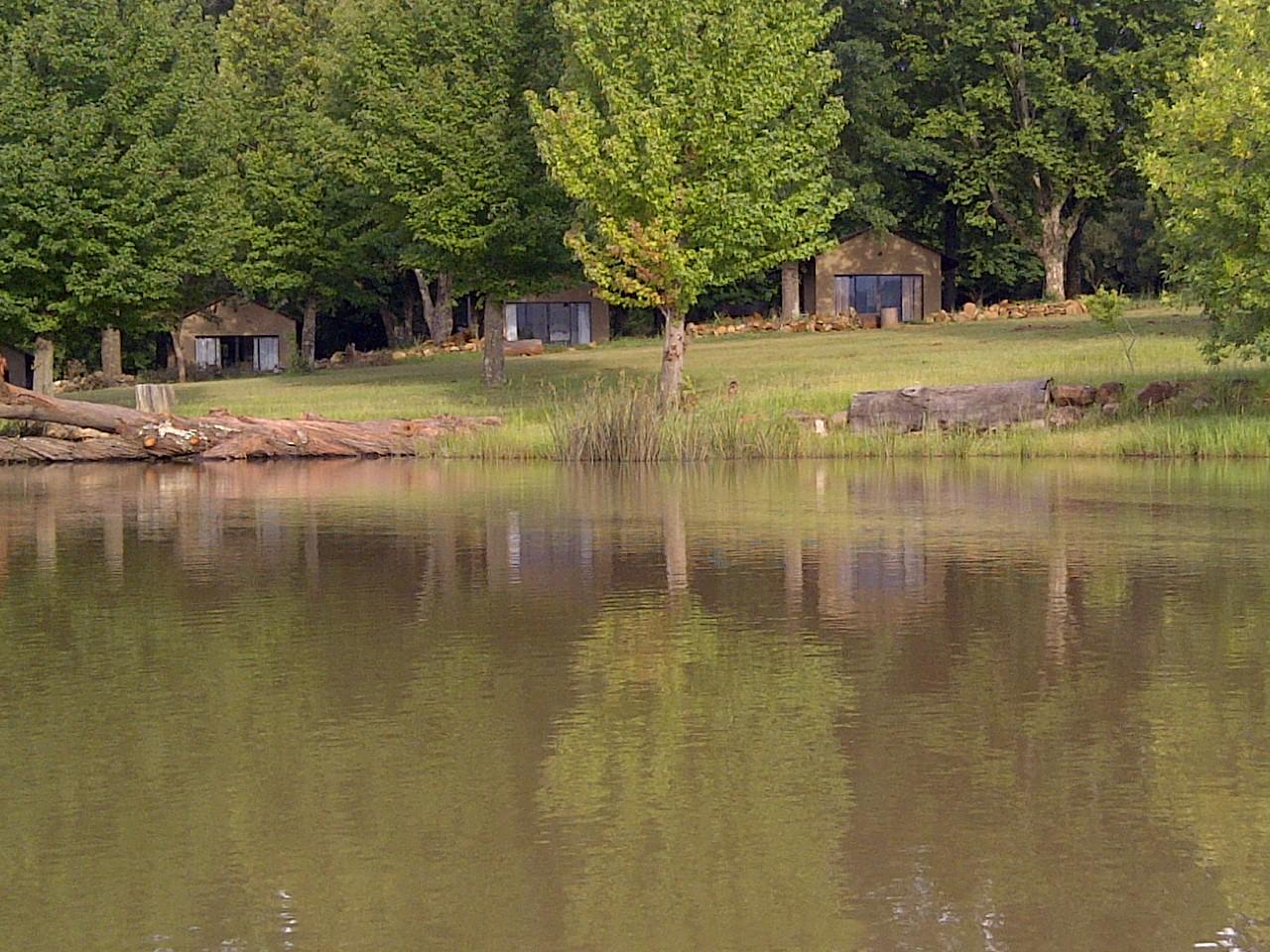 Berghaven Self-catering Cottages | Cathkin Park Specials