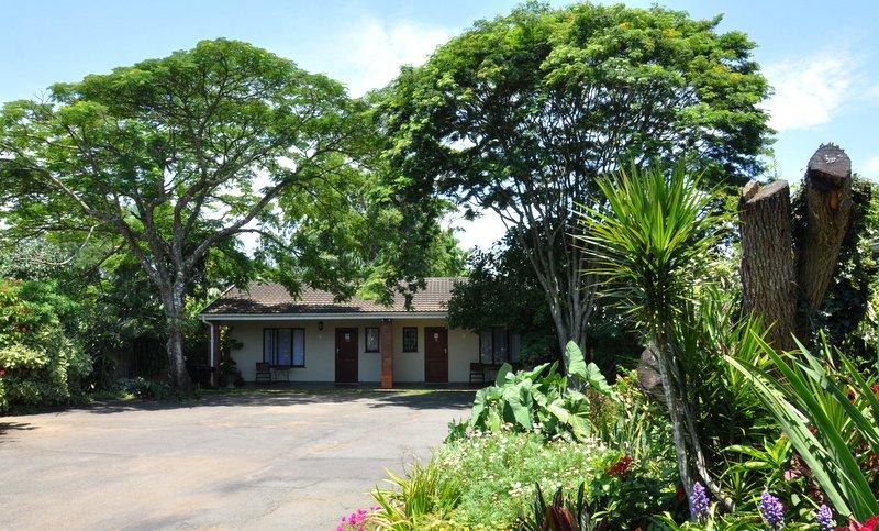 Birds of Paradise | Eshowe Accommodation
