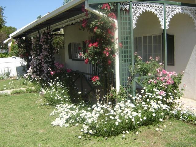 Green Door Guest Cottage - Loop Street | Parys Accommodation