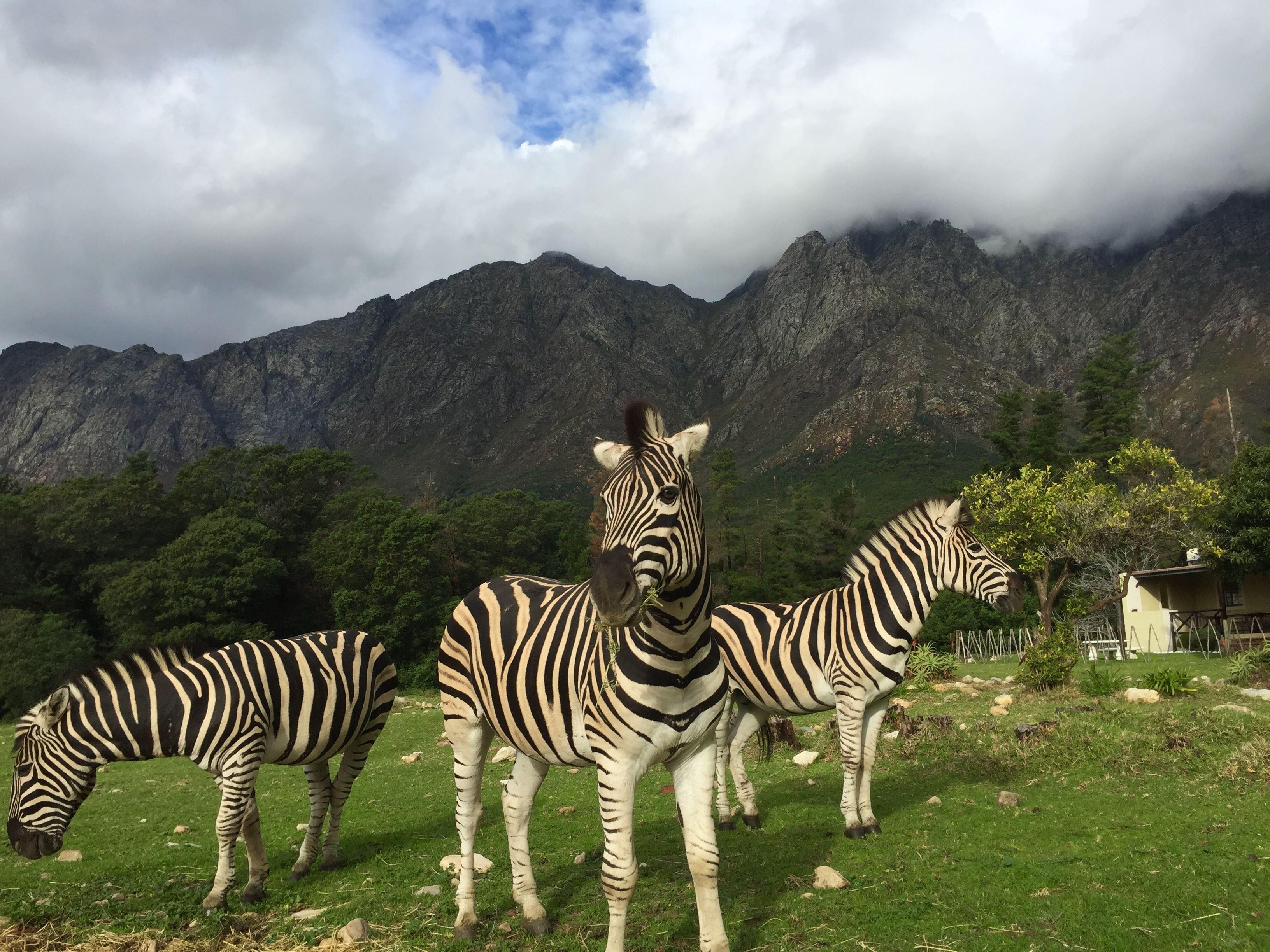 Franschhoek Country Cottages | Self-catering Franschhoek
