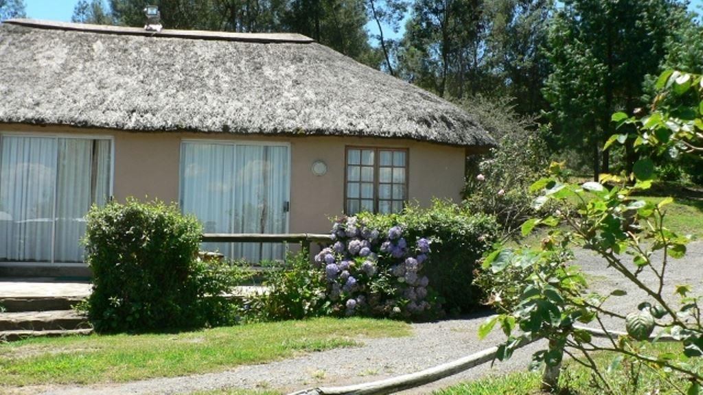 Troutbagger Farm | Nottingham Road Accommodation