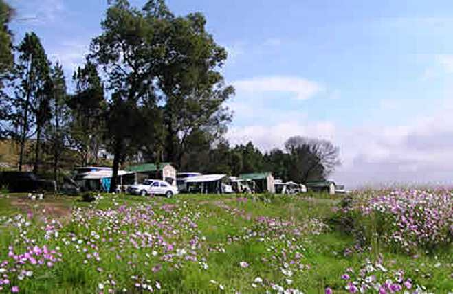 Campsites
