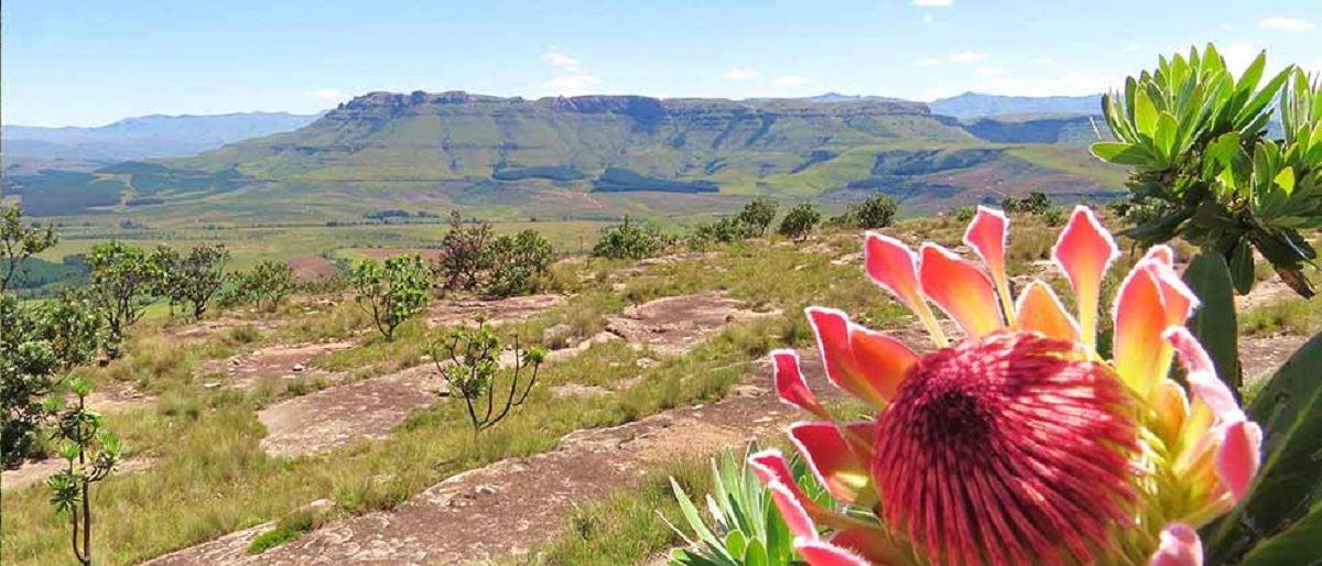 Fairbairn Guest Farm | Accommodation Maclear