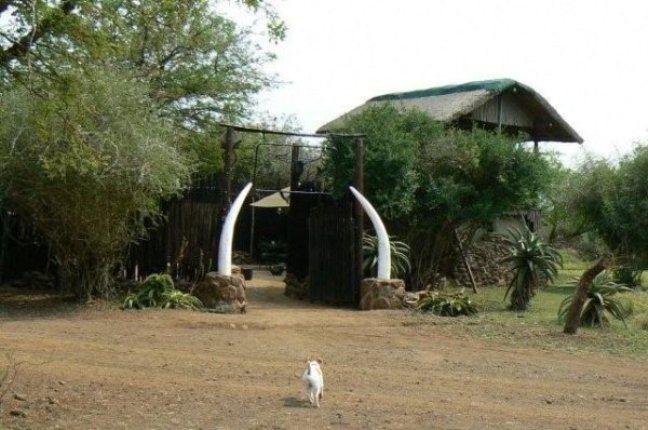 Nkonkoni Fishing Camp | Accommodation Pongola