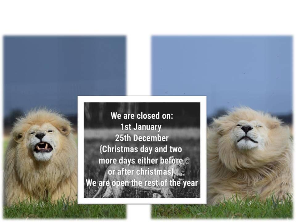 Weltevrede Lion Farm | Heilbron Self-catering