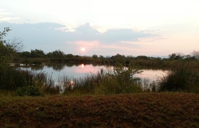 Crocuta Game Lodge | Mokopane (Potgietersrus) Accommodation