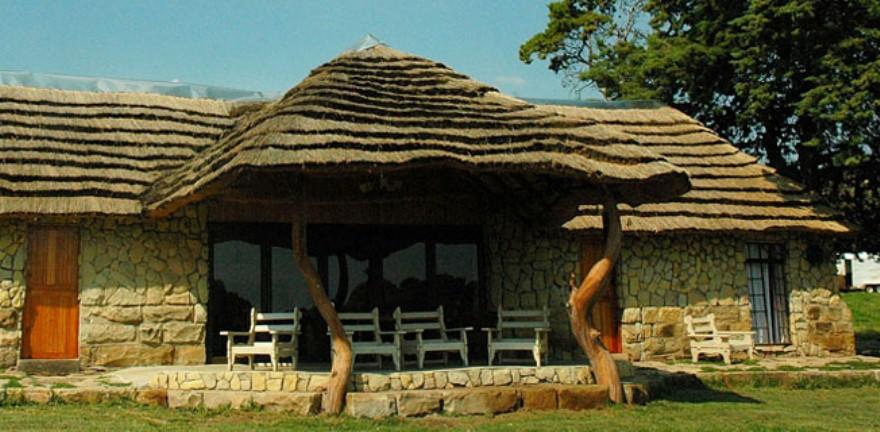 Franshoek Farm and Polo School | Ficksburg Accommodation