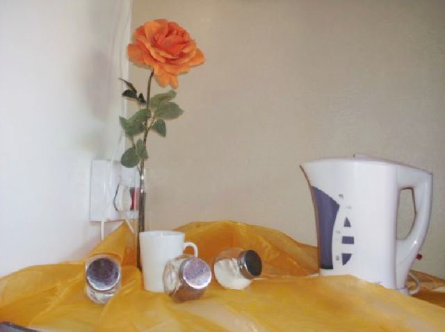 Tea and coffee facilities 