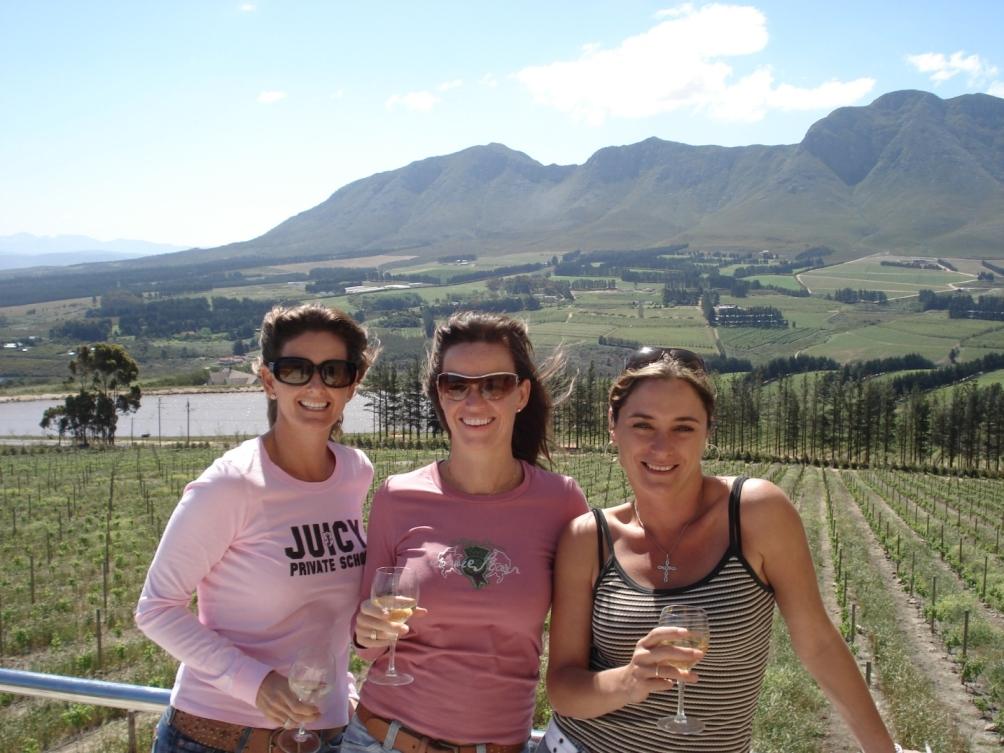 Wine Tours of Hermanus